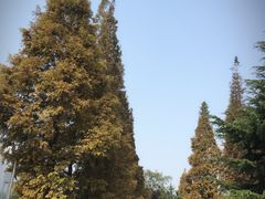 -汇泉广场