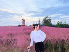 -羊亭河湿地公园