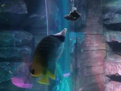 -沈阳海洋探索中心