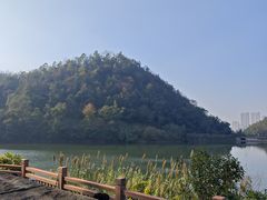 -桃花岭景区