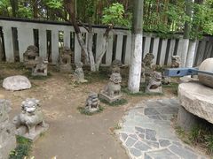 -徐州龟山景区