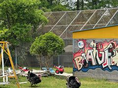 -前小桔亲子创意农场·草莓采摘·露营烧烤