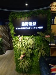 点击看大图 -藤野造型