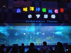 -泉城欧乐堡海洋极地世界