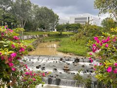 -深圳大学(丽湖校区)