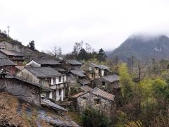 -四明山国家森林公园