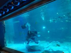 -石家庄海洋公园