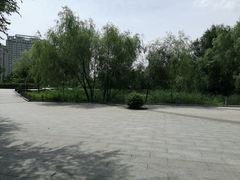 -群力丁香公园