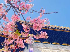 -宝墨园景区