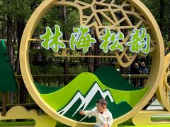 -莫尔道嘎国家森林公园