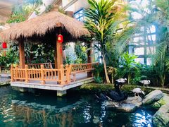 -南宫五洲植物乐园