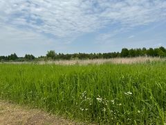 -宁波杭州湾国家湿地公园