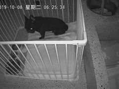 -電力宠物公司(武定路店)