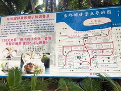 -东郊椰林