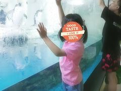 -南昌海洋公园