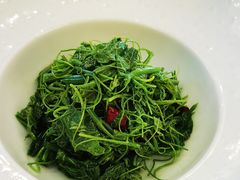 炝拌龙须菜-顺峰(南二环店)