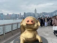-星光大道