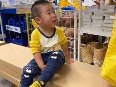 -阳阳中国饭(北京荟聚店)