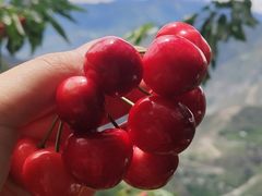 -萝卜寨羌文化生态旅游区