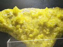 -甘肃地质博物馆