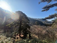 -黄山西海饭店-自助餐厅