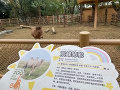 -武汉动物园