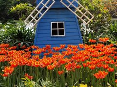 -南宫五洲植物乐园