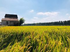 -嘉北郊野公园
