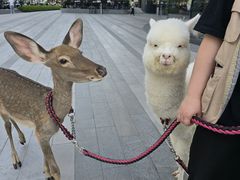 -中海环宇荟