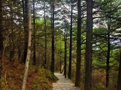 -秦岭天竺山生态文化旅游景区