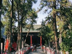 -关林