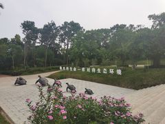 -广东惠东海龟国家级自然保护区