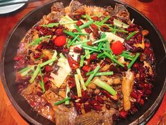 老板恋上鱼-老板恋上鱼(振华商厦店)