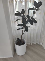 -HEYAN荷妍专业脱毛连锁机构
