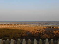 -南汇嘴观海公园