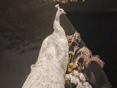 -滇野云南野生菌餐厅