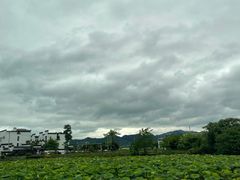 -西溪南古村落