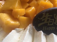 -维尔纳斯·生日蛋糕·动物奶油冰淇淋蛋糕(六里桥店)
