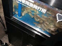 -盒马鲜生(岭南新世界店)