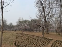 -廊坊市自然公园