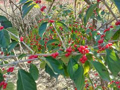 -永定河休闲森林公园