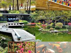 -云溪植物园
