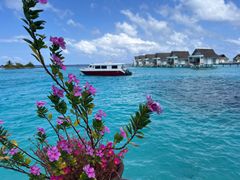 -中央格兰德岛温泉度假酒店 - 全包