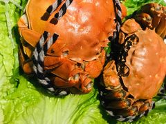 -红辣椒·川菜·火锅(张杨路店)