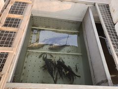 -黄河小浪底水利枢纽风景区
