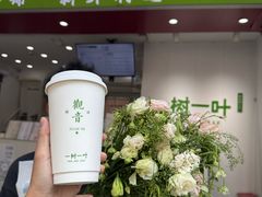 -一树一叶·福建茶档(石鼓路店)