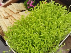 -湊湊火锅·茶憩(打浦桥日月光店)