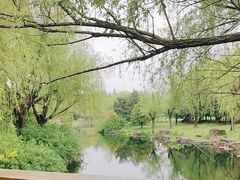 -上海滨江森林公园