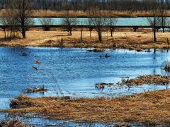 -野鸭湖国家湿地公园