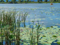 -野鸭湖国家湿地公园
